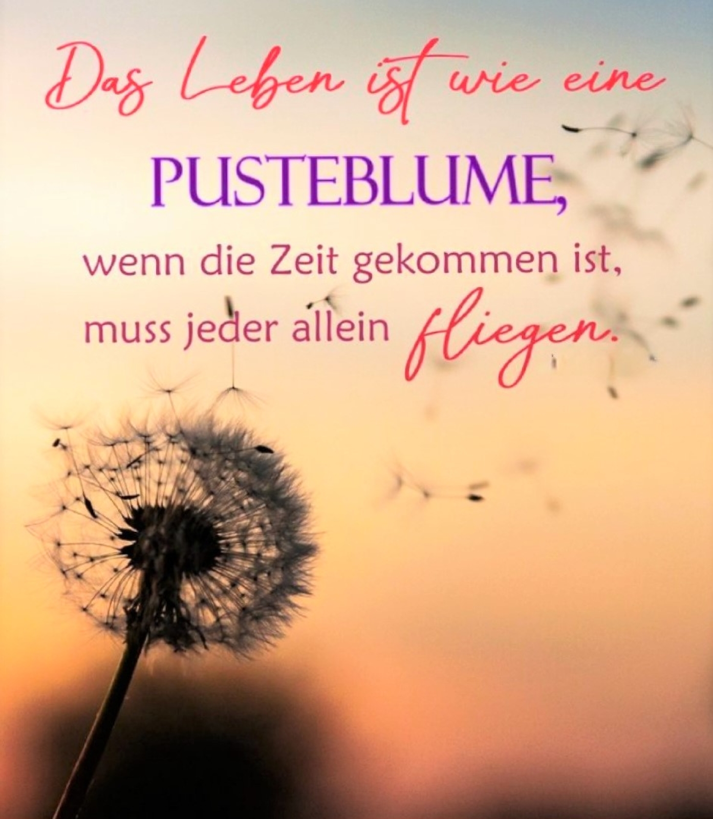 Edda Helga Crowley Parte Aufbahrung Begr bnis Grabstelle Das Neue 